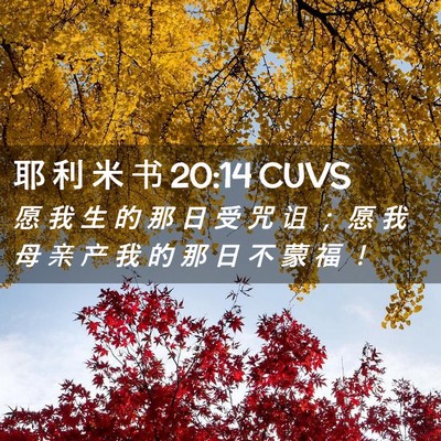 Picture 02 - 耶 利 米 书 20:14 CUVS - 愿 我 生 的 那 日 受 咒 诅 ； 愿 我 - Bible Verse Picture