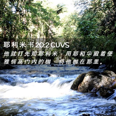 Picture 02 - 耶 利 米 书 20:2 CUVS - 他 就 打 先 知 耶 利 米 ， 用 耶 和 - Bible Verse Picture