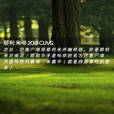 Picture 02 - 耶 利 米 书 20:3 CUVS - 次 日 ， 巴 施 户 珥 将 耶 利 米 开 - Bible Verse Picture