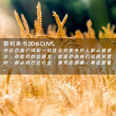 Picture 02 - 耶 利 米 书 20:6 CUVS - 你 这 巴 施 户 珥 和 一 切 住 在 你 - Bible Verse Picture