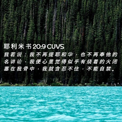 Picture 02 - 耶 利 米 书 20:9 CUVS - 我 若 说 ： 我 不 再 提 耶 和 华 ， - Bible Verse Picture