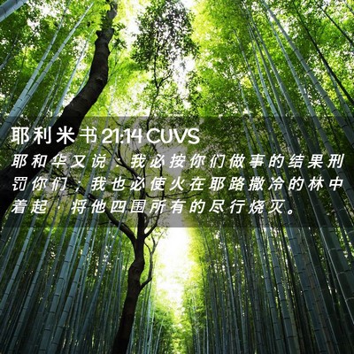 Picture 02 - 耶 利 米 书 21:14 CUVS - 耶 和 华 又 说 ： 我 必 按 你 们 做 - Bible Verse Picture
