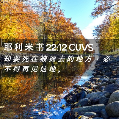 Picture 02 - 耶 利 米 书 22:12 CUVS - 却 要 死 在 被 掳 去 的 地 方 ， 必 - Bible Verse Picture