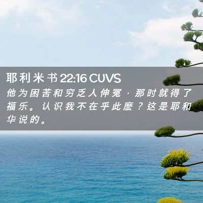 Picture 02 - 耶 利 米 书 22:16 CUVS - 他 为 困 苦 和 穷 乏 人 伸 冤 ， 那 - Bible Verse Picture