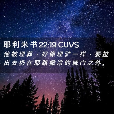 Picture 02 - 耶 利 米 书 22:19 CUVS - 他 被 埋 葬 ， 好 像 埋 驴 一 样 ， - Bible Verse Picture
