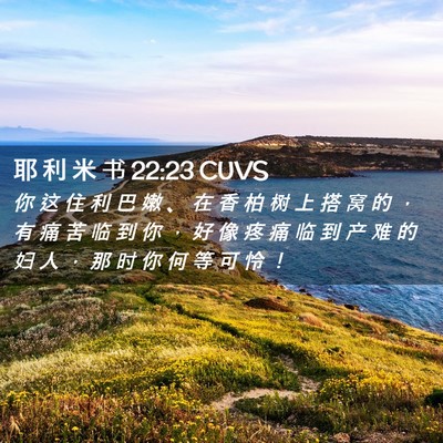 Picture 02 - 耶 利 米 书 22:23 CUVS - 你 这 住 利 巴 嫩 、 在 香 柏 树 上 - Bible Verse Picture