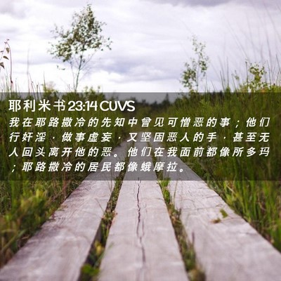 Picture 02 - 耶 利 米 书 23:14 CUVS - 我 在 耶 路 撒 冷 的 先 知 中 曾 见 - Bible Verse Picture