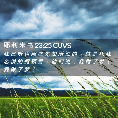 Picture 02 - 耶 利 米 书 23:25 CUVS - 我 已 听 见 那 些 先 知 所 说 的 ， - Bible Verse Picture