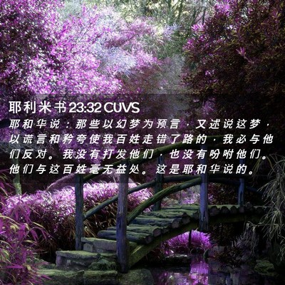 Picture 02 - 耶 利 米 书 23:32 CUVS - 耶 和 华 说 ： 那 些 以 幻 梦 为 预 - Bible Verse Picture