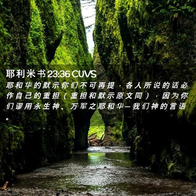 Picture 02 - 耶 利 米 书 23:36 CUVS - 耶 和 华 的 默 示 你 们 不 可 再 提 - Bible Verse Picture