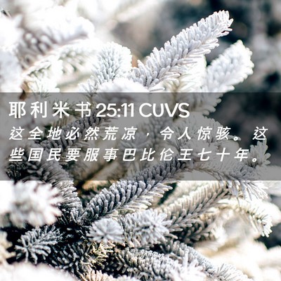 Picture 02 - 耶 利 米 书 25:11 CUVS - 这 全 地 必 然 荒 凉 ， 令 人 惊 骇 - Bible Verse Picture