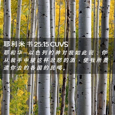 Picture 02 - 耶 利 米 书 25:15 CUVS - 耶 和 华 ─ 以 色 列 的 神 对 我 如 - Bible Verse Picture