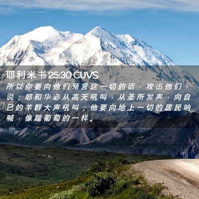 Picture 02 - 耶 利 米 书 25:30 CUVS - 所 以 你 要 向 他 们 预 言 这 一 切 - Bible Verse Picture