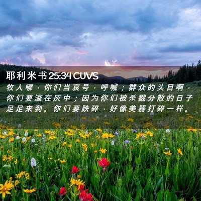 Picture 02 - 耶 利 米 书 25:34 CUVS - 牧 人 哪 ， 你 们 当 哀 号 ， 呼 喊 - Bible Verse Picture