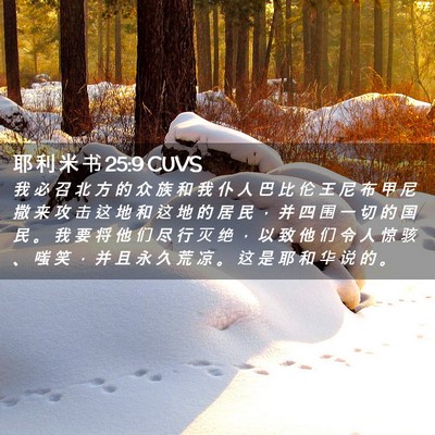 Picture 02 - 耶 利 米 书 25:9 CUVS - 我 必 召 北 方 的 众 族 和 我 仆 人 - Bible Verse Picture