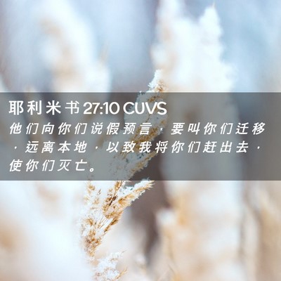 Picture 02 - 耶 利 米 书 27:10 CUVS - 他 们 向 你 们 说 假 预 言 ， 要 叫 - Bible Verse Picture