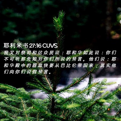 Picture 02 - 耶 利 米 书 27:16 CUVS - 我 又 对 祭 司 和 这 众 民 说 ： 耶 - Bible Verse Picture