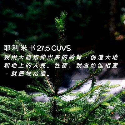 Picture 02 - 耶 利 米 书 27:5 CUVS - 我 用 大 能 和 伸 出 来 的 膀 臂 ， - Bible Verse Picture