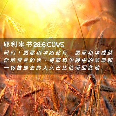 Picture 02 - 耶 利 米 书 28:6 CUVS - 阿 们 ！ 愿 耶 和 华 如 此 行 ， 愿 - Bible Verse Picture