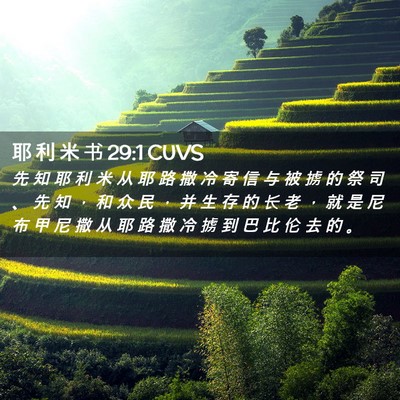 Picture 02 - 耶 利 米 书 29:1 CUVS - 先 知 耶 利 米 从 耶 路 撒 冷 寄 信 - Bible Verse Picture