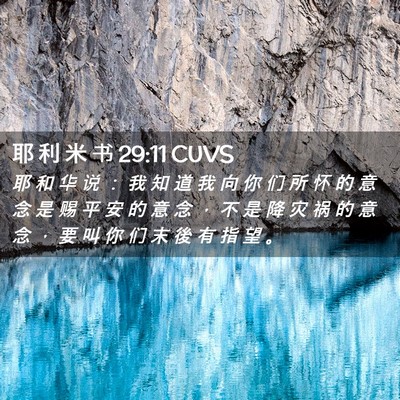 Picture 02 - 耶 利 米 书 29:11 CUVS - 耶 和 华 说 ： 我 知 道 我 向 你 们 - Bible Verse Picture