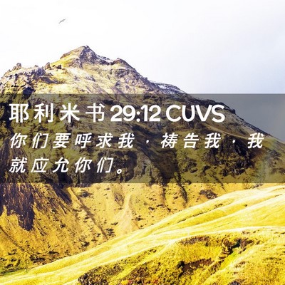 Picture 02 - 耶 利 米 书 29:12 CUVS - 你 们 要 呼 求 我 ， 祷 告 我 ， 我 - Bible Verse Picture