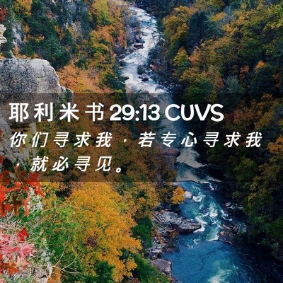 Picture 02 - 耶 利 米 书 29:13 CUVS - 你 们 寻 求 我 ， 若 专 心 寻 求 我 - Bible Verse Picture
