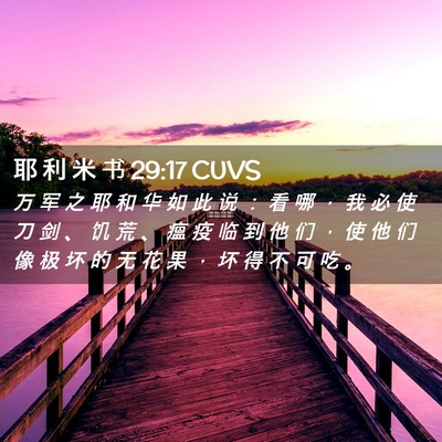 Picture 02 - 耶 利 米 书 29:17 CUVS - 万 军 之 耶 和 华 如 此 说 ： 看 哪 - Bible Verse Picture