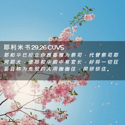 Picture 02 - 耶 利 米 书 29:26 CUVS - 耶 和 华 已 经 立 你 西 番 雅 为 祭 - Bible Verse Picture