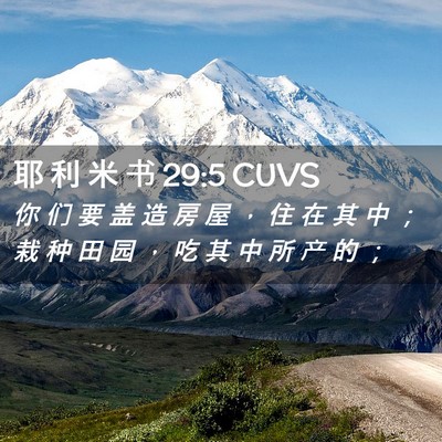 Picture 02 - 耶 利 米 书 29:5 CUVS - 你 们 要 盖 造 房 屋 ， 住 在 其 中 - Bible Verse Picture