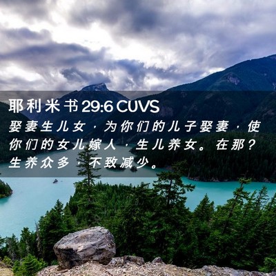 Picture 02 - 耶 利 米 书 29:6 CUVS - 娶 妻 生 儿 女 ， 为 你 们 的 儿 子 - Bible Verse Picture