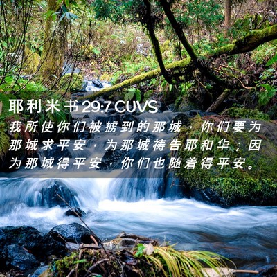 Picture 02 - 耶 利 米 书 29:7 CUVS - 我 所 使 你 们 被 掳 到 的 那 城 ， - Bible Verse Picture