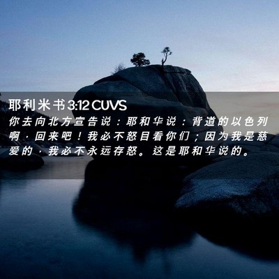 Picture 02 - 耶 利 米 书 3:12 CUVS - 你 去 向 北 方 宣 告 说 ： 耶 和 华 - Bible Verse Picture