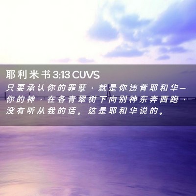 Picture 02 - 耶 利 米 书 3:13 CUVS - 只 要 承 认 你 的 罪 孽 ， 就 是 你 - Bible Verse Picture
