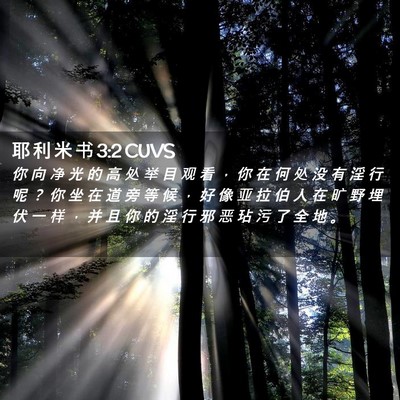 Picture 02 - 耶 利 米 书 3:2 CUVS - 你 向 净 光 的 高 处 举 目 观 看 ， - Bible Verse Picture