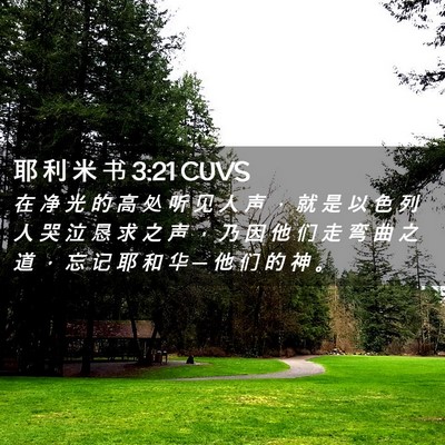 Picture 02 - 耶 利 米 书 3:21 CUVS - 在 净 光 的 高 处 听 见 人 声 ， 就 - Bible Verse Picture