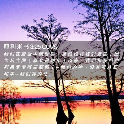 Picture 02 - 耶 利 米 书 3:25 CUVS - 我 们 在 羞 耻 中 躺 卧 罢 ！ 愿 惭 - Bible Verse Picture