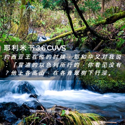 Picture 02 - 耶 利 米 书 3:6 CUVS - 约 西 亚 王 在 位 的 时 候 ， 耶 和 - Bible Verse Picture