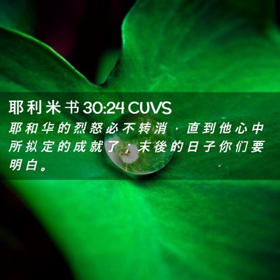Picture 02 - 耶 利 米 书 30:24 CUVS - 耶 和 华 的 烈 怒 必 不 转 消 ， 直 - Bible Verse Picture