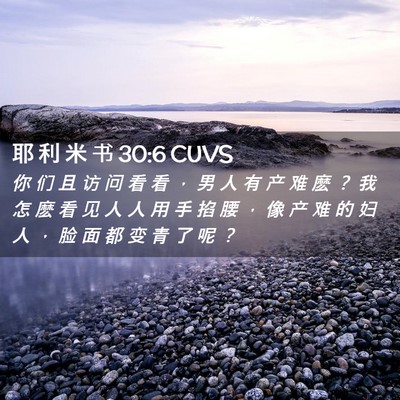 Picture 02 - 耶 利 米 书 30:6 CUVS - 你 们 且 访 问 看 看 ， 男 人 有 产 - Bible Verse Picture
