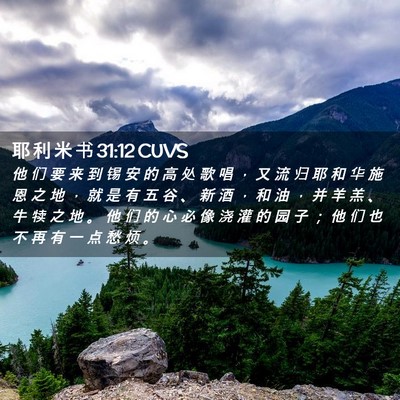 Picture 02 - 耶 利 米 书 31:12 CUVS - 他 们 要 来 到 锡 安 的 高 处 歌 唱 - Bible Verse Picture