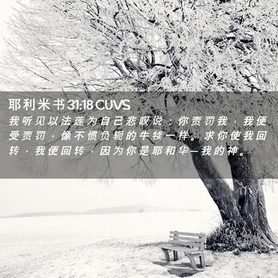 Picture 02 - 耶 利 米 书 31:18 CUVS - 我 听 见 以 法 莲 为 自 己 悲 叹 说 - Bible Verse Picture
