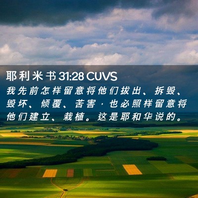 Picture 02 - 耶 利 米 书 31:28 CUVS - 我 先 前 怎 样 留 意 将 他 们 拔 出 - Bible Verse Picture