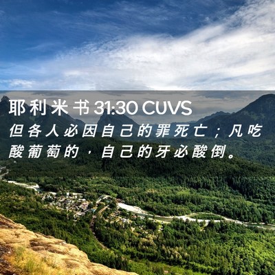 Picture 02 - 耶 利 米 书 31:30 CUVS - 但 各 人 必 因 自 己 的 罪 死 亡 ； - Bible Verse Picture