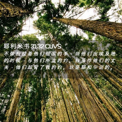 Picture 02 - 耶 利 米 书 31:32 CUVS - 不 像 我 拉 着 他 们 祖 宗 的 手 ， - Bible Verse Picture