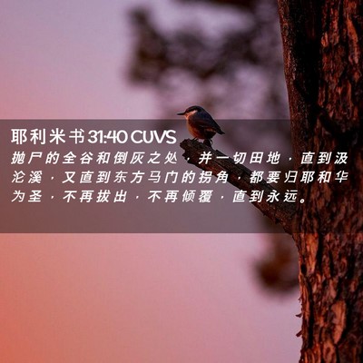 Picture 02 - 耶 利 米 书 31:40 CUVS - 抛 尸 的 全 谷 和 倒 灰 之 处 ， 并 - Bible Verse Picture