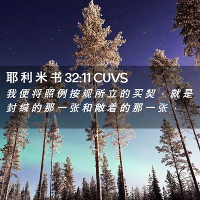 Picture 02 - 耶 利 米 书 32:11 CUVS - 我 便 将 照 例 按 规 所 立 的 买 契 - Bible Verse Picture