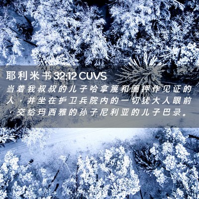 Picture 02 - 耶 利 米 书 32:12 CUVS - 当 着 我 叔 叔 的 儿 子 哈 拿 篾 和 - Bible Verse Picture