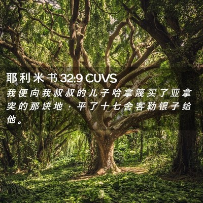 Picture 02 - 耶 利 米 书 32:9 CUVS - 我 便 向 我 叔 叔 的 儿 子 哈 拿 篾 - Bible Verse Picture