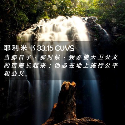 Picture 02 - 耶 利 米 书 33:15 CUVS - 当 那 日 子 ， 那 时 候 ， 我 必 使 - Bible Verse Picture